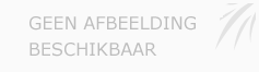 Afbeelding › Kinderopvang  plakkepolle